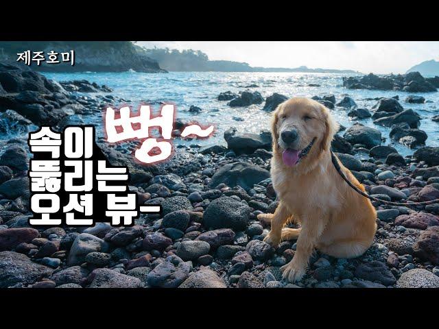 [호미와 랜선산책] (4k) 제주도 자구리공원