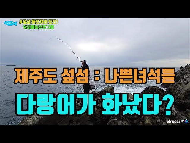 #제주도낚시#긴꼬리벵에돔#fishing [벵에돔낚시] 제주도 섶섬 다녀왔어요!!드랙조절은 필수 입니다!!