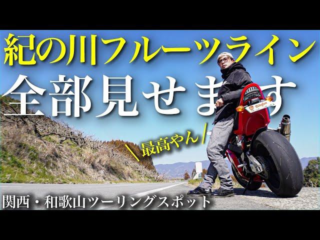 紀の川フルーツライン全線見せます！バイクソロツーリング【関西・和歌山ツーリングおすすめスポット】#モトブログ #ツーリング