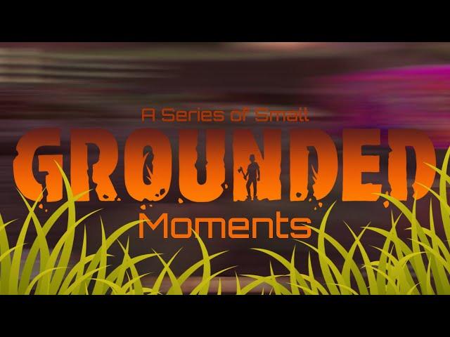 A Series of Small Grounded Moments! (Early Access)
