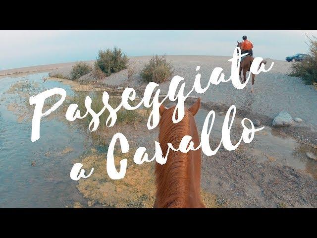 Passeggiata a cavallo in spiaggia Sicilia