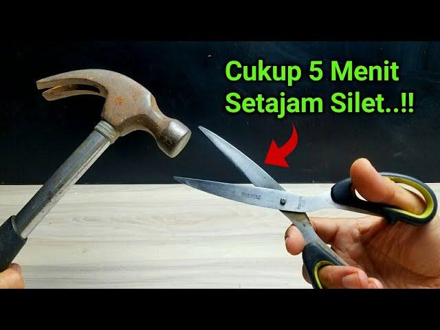 Cukup 5 menit..!! Cara cepat mengasah gunting tumpul agar tajam seperti silet