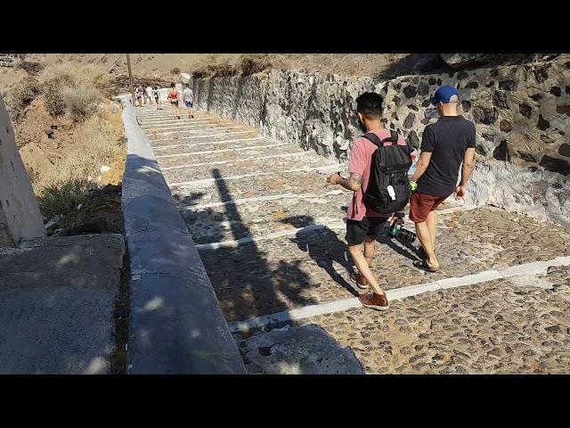 А вот и сами ослики