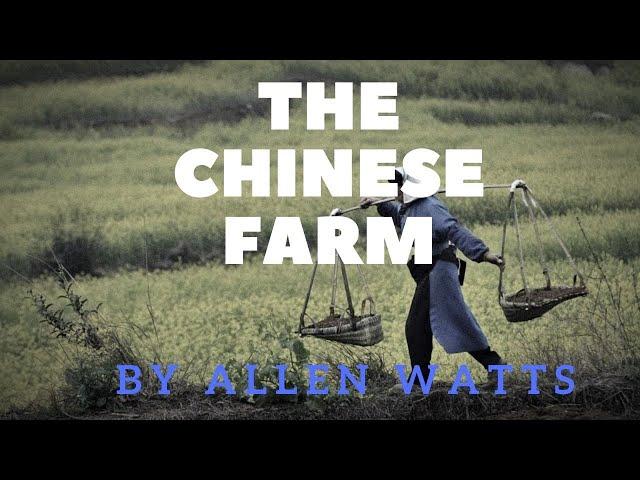 Alan Watts The  Chinese Farmer