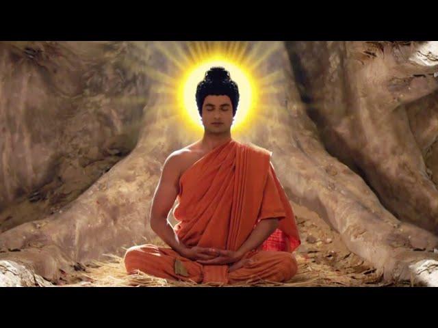 50 Bài Học Chính Đức Phật Đích Thân Chỉ Dạy Sau Khi Giác Ngộ   Phim Cuộc Đời Đức Phật