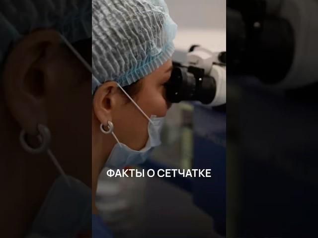 5 фактов о сетчатке