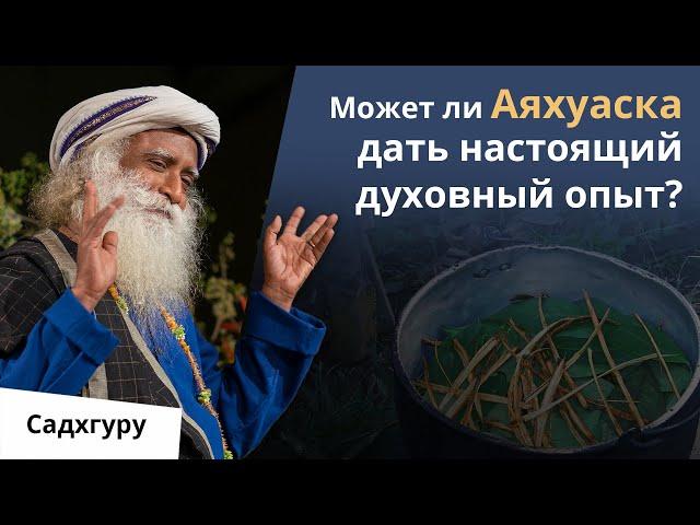 Психоделики, Аяхуаска и духовный опыт