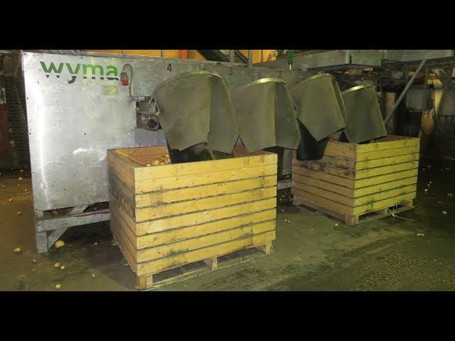 WYMA rollergrader Lift roller sizer / roller grader Potato sorter