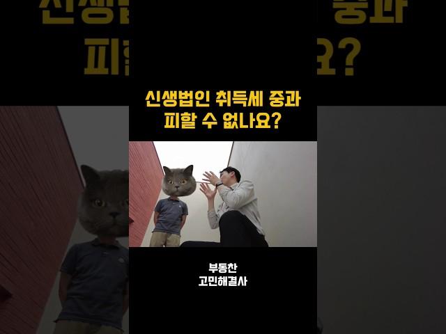 신생법인 취득세 중과 피할 수 있다고요??? #법인투자 #부동산 #신생법인 #법인대출 #세금