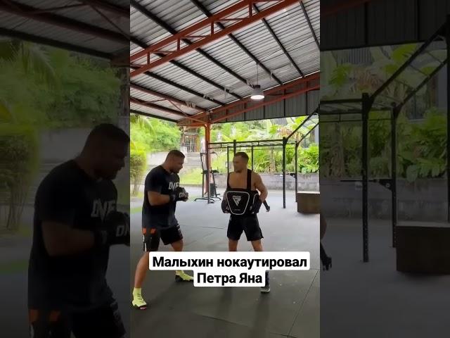 Анатолий Малыхин нокаутировал Петра Яна на тренировке