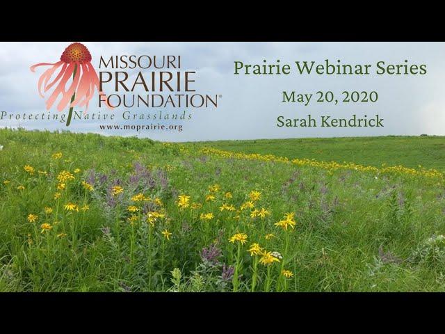 Prairie Webinar Series: Sarah Kendrick - Missouri's Bird Conservation Plan