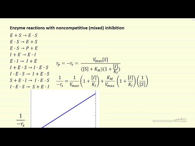 Lineweaver-Burke plots for Michaelis Menten Enzyme Kinetics