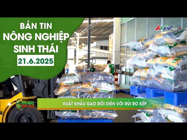 Xuất khẩu gạo đối diện với rủi ro kép | BẢN TIN NÔNG NGHIỆP SINH THÁI 21.6.2025