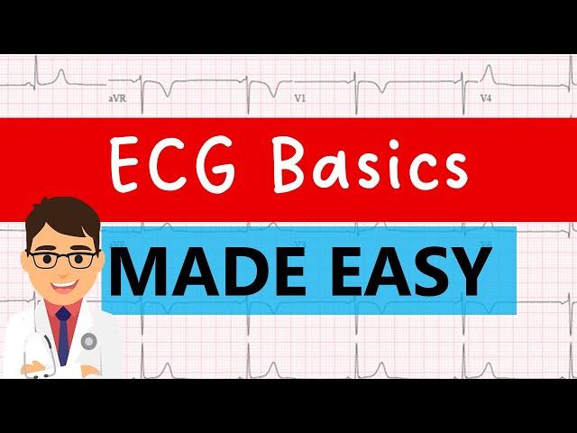 ECG basics | EASY GUIDE FOR MEDICAL STUDENTS!