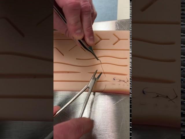 Horizontal mattress suture