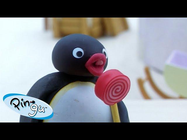 Best of Pingu Part 1 | Pingu - Official Channel | Cartoons For Kids