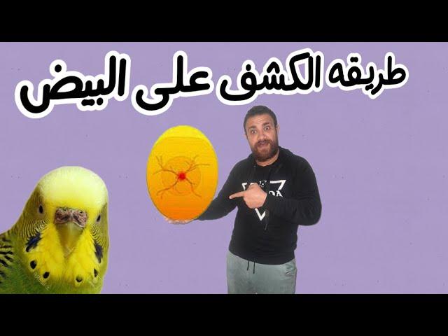 How to detect fertilized eggs  any type of bird