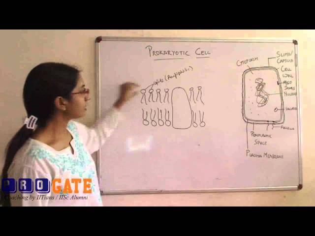 ProGATE GATE Biotechnology Sample Video 1