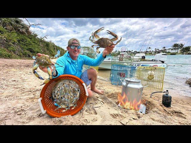 Surviving off the Land (Trap & Cook Challenge) The Best Way to Eat Crab!