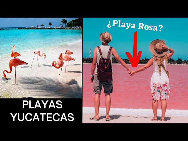  7 Mejores PLAYAS de Yucatán que debes Visitar (MÉXICO)