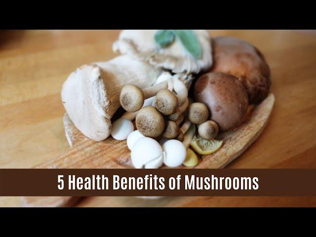 5 Health Benefits of Mushroom