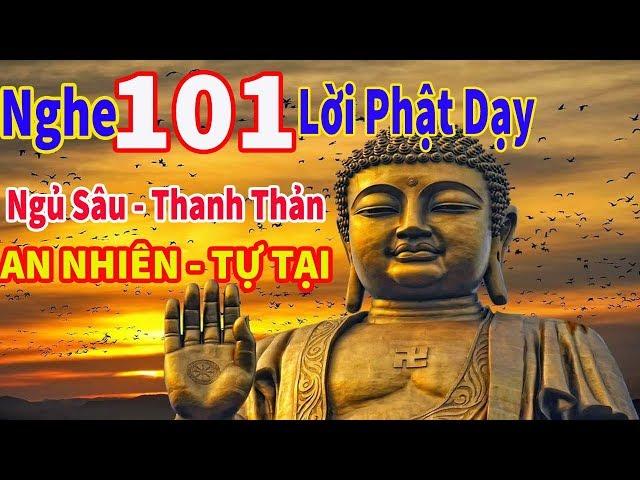 Nghe 101 lời phật dạy - Ngủ Sâu Giấc,Chữa Mọi Tâm Bệnh , Sống An Nhiên Tự Tại