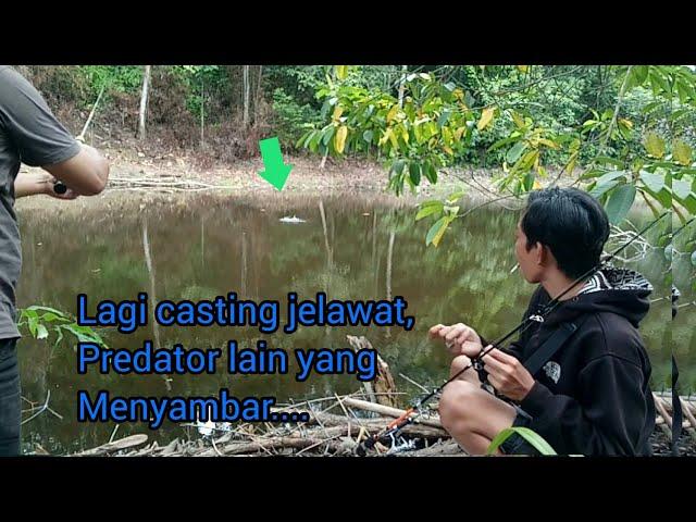 MANCING IKAN JELAWAT