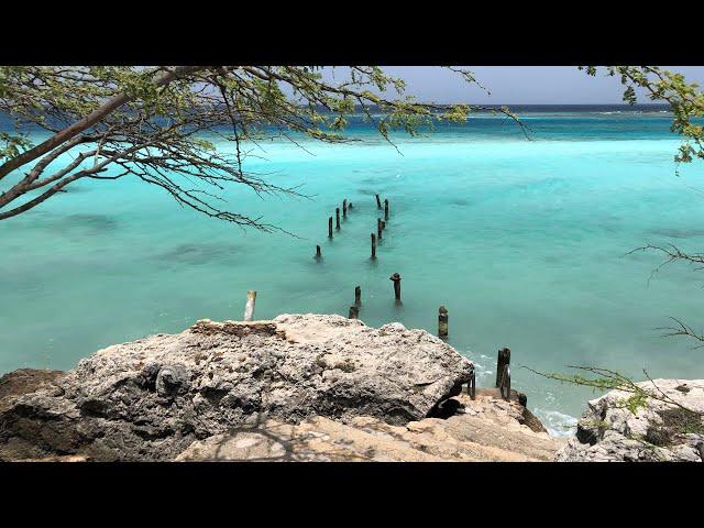 Mangel Halto - Aruba’s Best Hidden Beach 