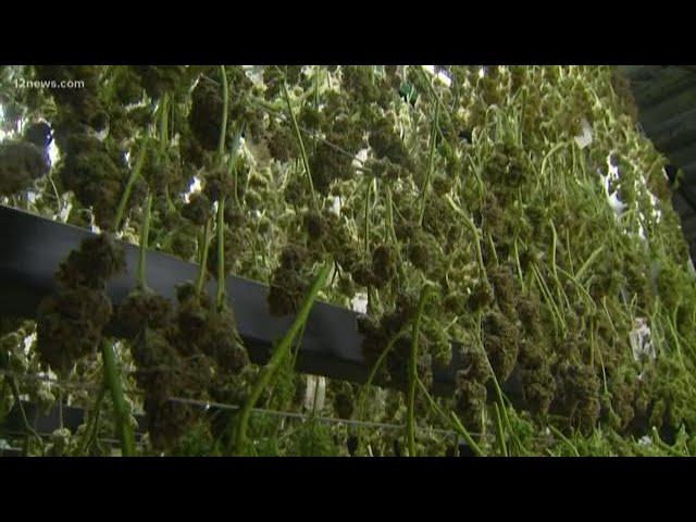 5 years after legalized pot, what's changed in Colorado?