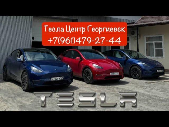 Установка Teslogic / Tesla Model Y