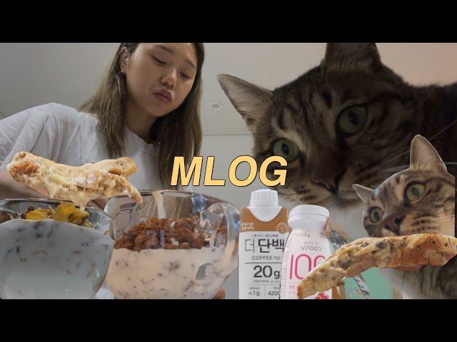 [밈PD | VLOG] mlog 리얼한 미현이의 세상_46 | 내 건강이 걱정된다고? 난 자네가 더 걱정이네(feat.삼세판에 참패한 애)