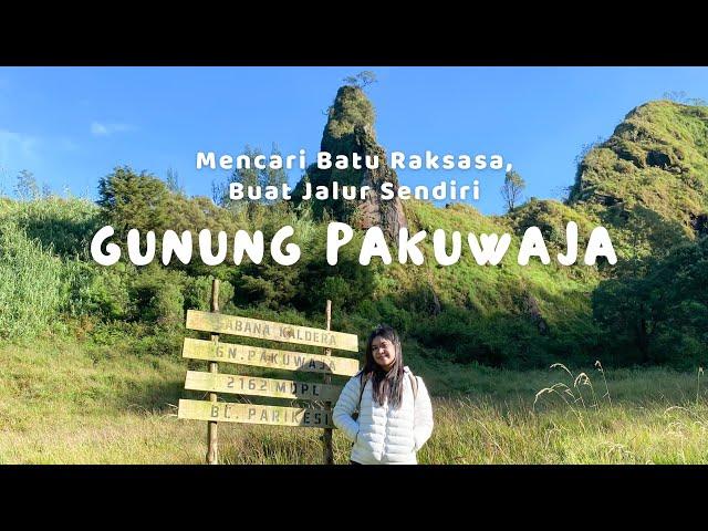 SOLO HIKING BUAT JALUR SENDIRI, MENCARI BATU RAKSASA PAKU-NYA PULAU JAWA || GUNUNG PAKUWAJA PART 2