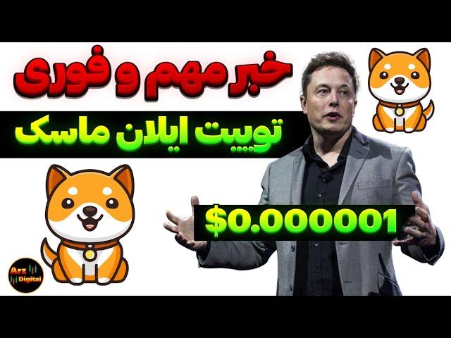 خبر فوری توییت دوباره ایلان ماسک برای بیبی دوج؟ | سیگنال صعودی بیبی دوج صادر شد