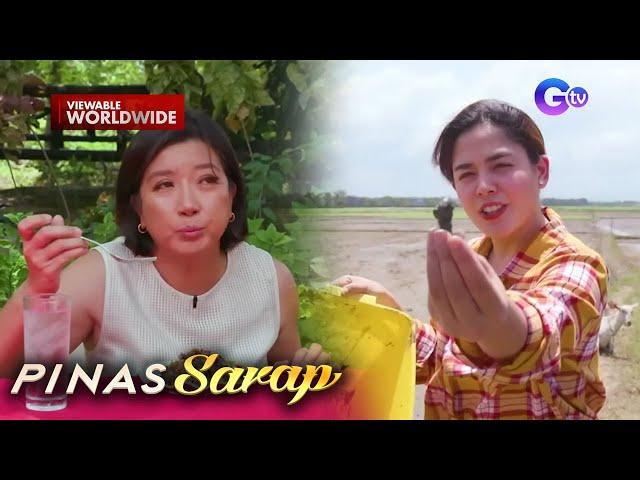 Peste sa palayan, ginagawang pulutan?! (Full Episode) | Pinas Sarap