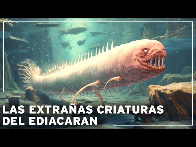 ¡Antes de los dinosaurios: los misterios de la era perdida de las criaturas ediacaranas! Documental