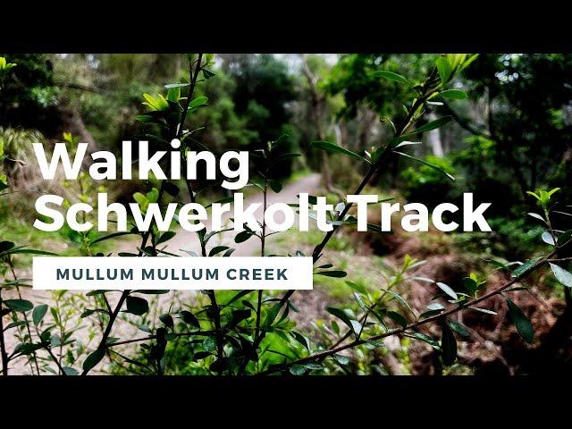 MELBOURNE WALK // Schwerkolt Track Mullum Mullum Creek