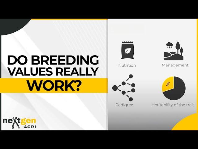 Do Breeding Values Really Work? | With Mark Ferguson | Understanding Breeding Values