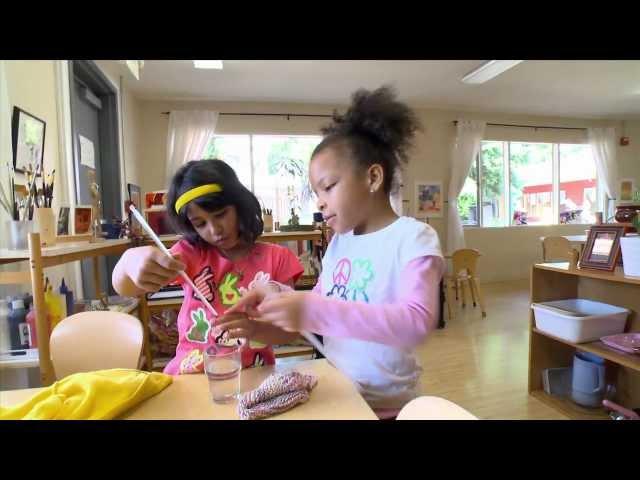 InBrief: Executive Function: Skills for Life and Learning