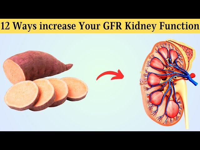 How To increase Your GFR Kidney Function