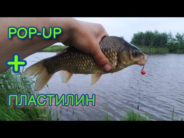 Ловля карася на флет метод. Рыбалка после нереста