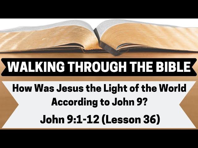 How Was Jesus the Light of the World According to John 9? [John 9:1-12][Lesson 36][WTTB]