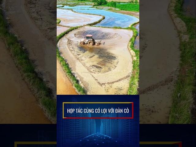 Đôi bên cùng có lợi