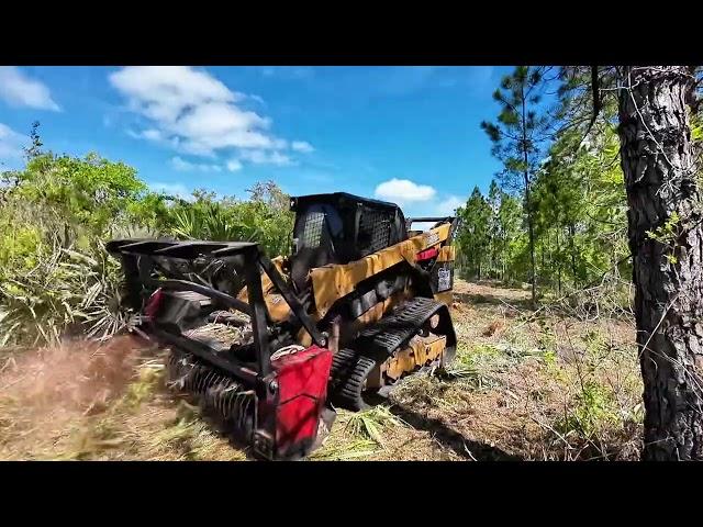 How to handle Wetlands on a Forestry Mulching Project!