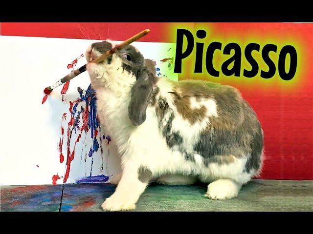 Picasso Rabbit paints a masterpiece (new)