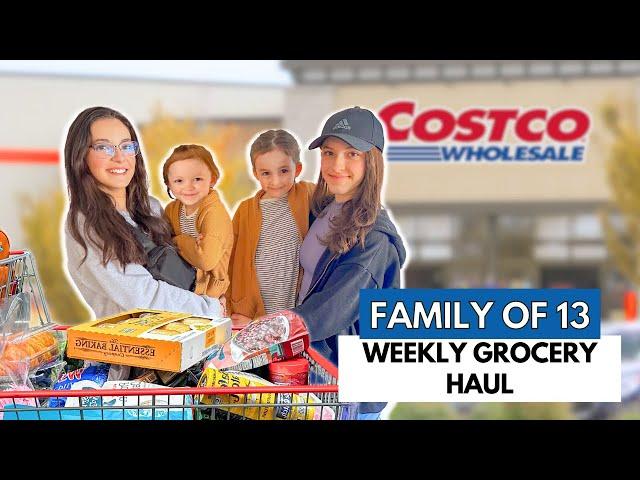 HUGE $1,000 COSTCO HAUL! SHOPPING FOR 11 KIDS!