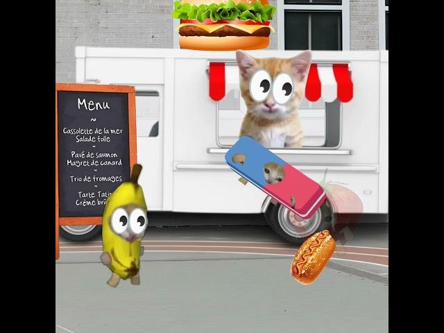 Baby Banana Cat School Day ️ #catmemes #cat #shorts #fyp #bananacat