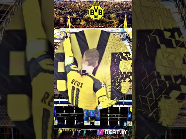 BVB#HAALAND#ECHTELIEBE#REUS