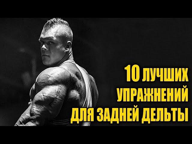 #качатьплечи 10 ЛУЧШИХ УПРАЖНЕНИЙ ДЛЯ ЗАДНЕЙ ДЕЛЬТЫ