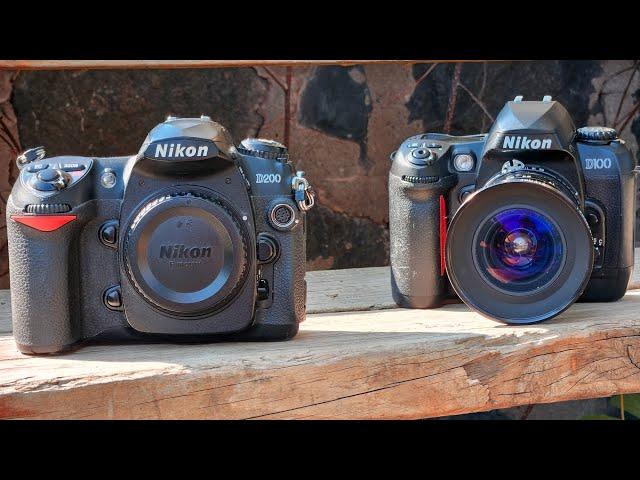 CCD Classics: Nikon D100 and D200 today