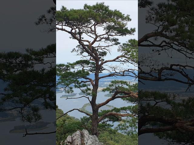 올라갈 때는 몰랐다. 산이름에 '악'이 들어간 이유를, 춘천 삼악산